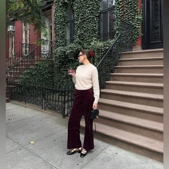 Ann Taylor The Petite Jayne Trouser Velvet Pant Mauve Rose Size 10P New - Picture 4 of 7